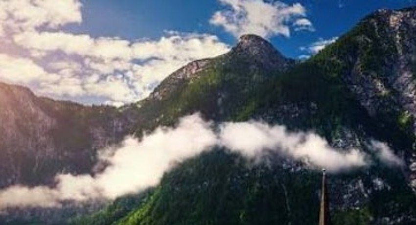 视觉灵感库 - 呦呦视频app - 打破边界的视觉灵感充电站