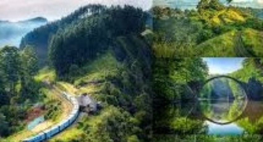 定制需求站 - 呦呦视频 - 专属定制化传媒服务需求提交口